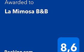 La Mimosa B&B
